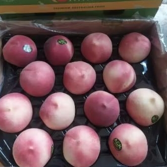 

Buah peach white import super quality 1 kg