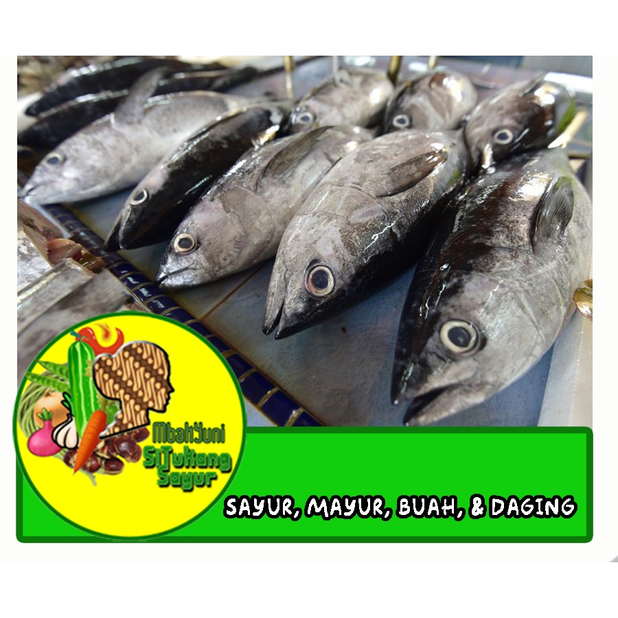 

Ikan Tongkol Basah Laut Bumbu Ungkep Kuning