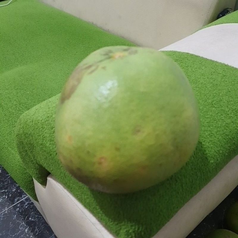 

buah jeruk bali merah