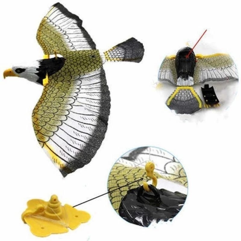 Mainan Burung Elang Dan Burung Kakak Tua Bisa Terbang Dan Ada Music