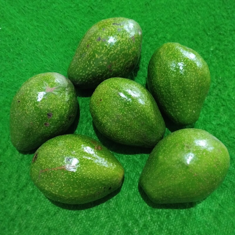 

Alpukat