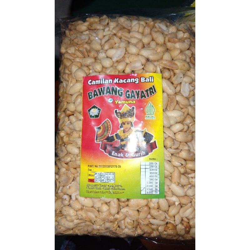 

Kacang Bali Gayatri ORI stok terbaru