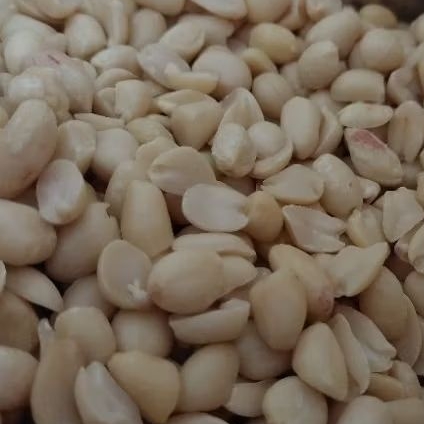 

Kacang Tanah Kupas Mentah-Sedang 41/51 isi 1 kg / 1000 gr