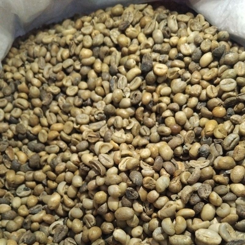 

Robusta green bean kopi asalan
