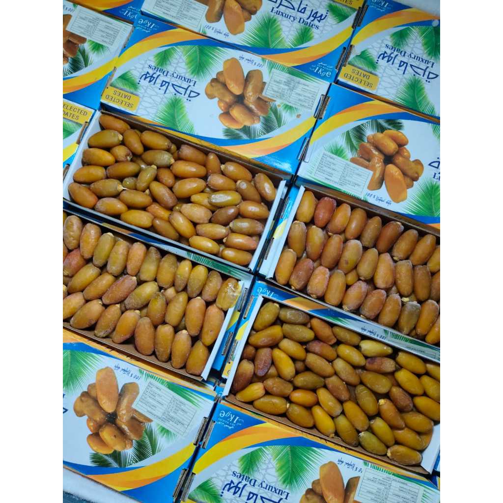 

Kurma Ruthob Libya Luxury Dates Promil