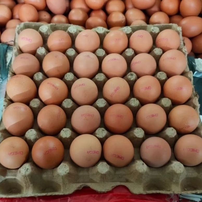 

Telur Ayam Omega - 3 (isi : 30 butir)