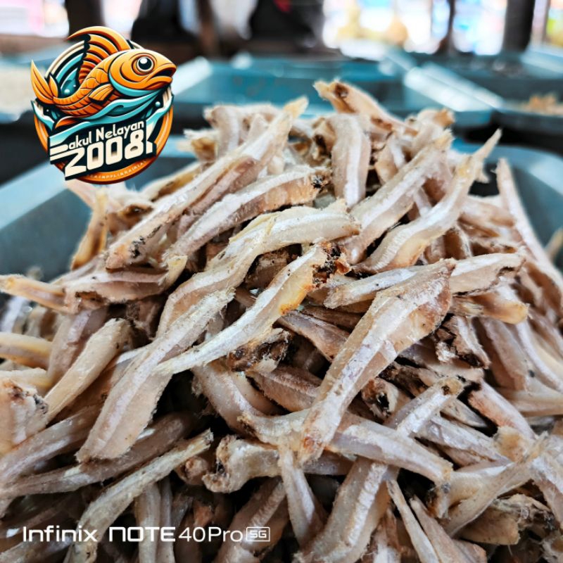 

Ikan teri jengki