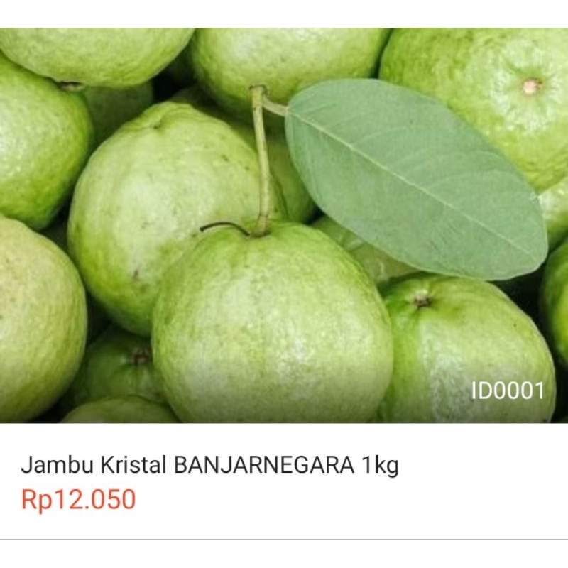 

Jambu Kristal Banjarnegara