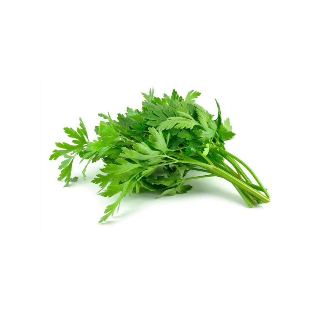 

Daun Seledri 100 GR