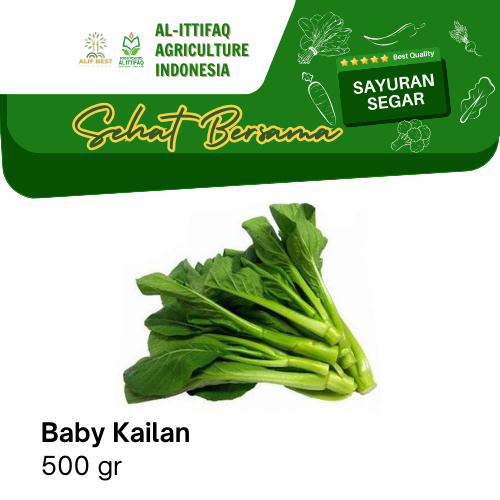 

SAYURAN BABY KAILAN SEGAR PER 500 GRAM