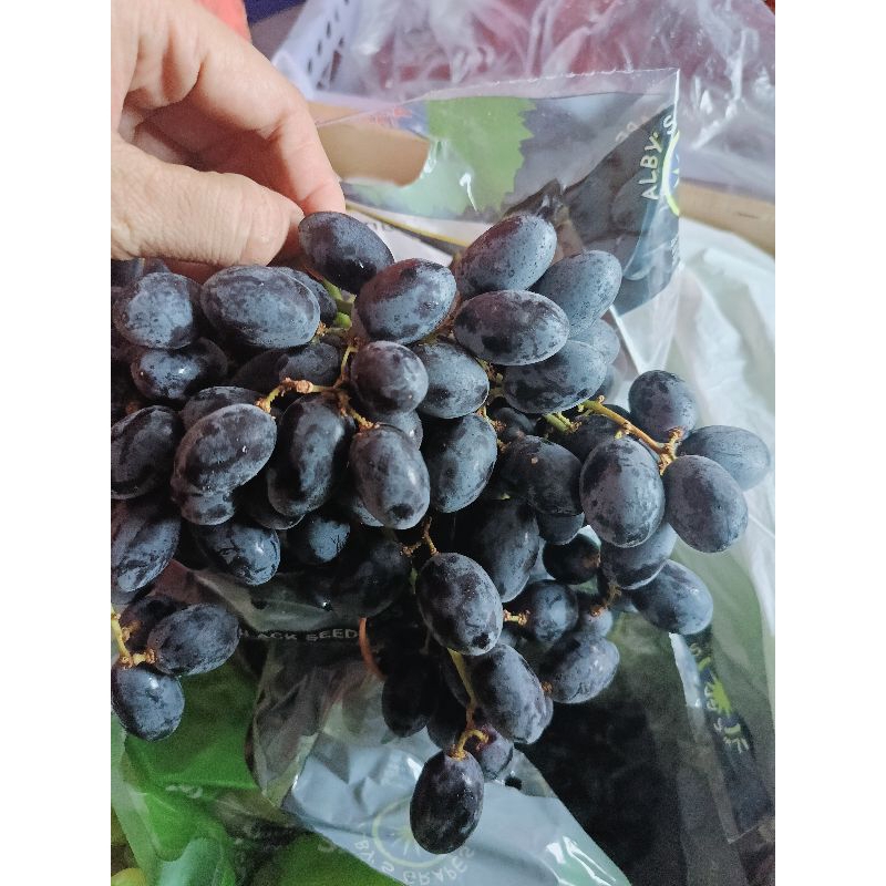 

SWEET BLACK SEEDLESS 500