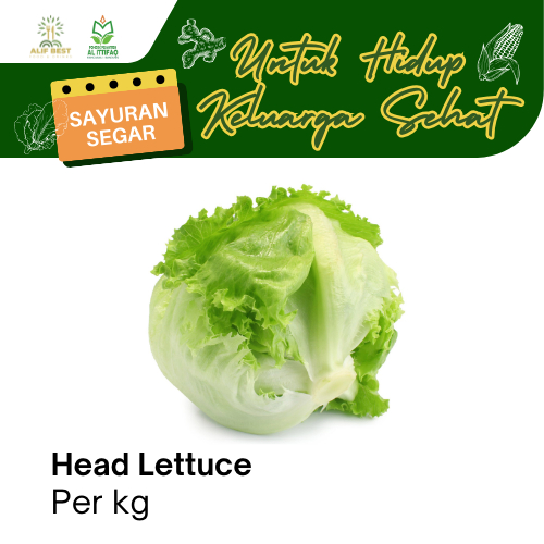 

SELADA BULAT ATAU HEAD LETTUCE SEGAR PER 1 KG