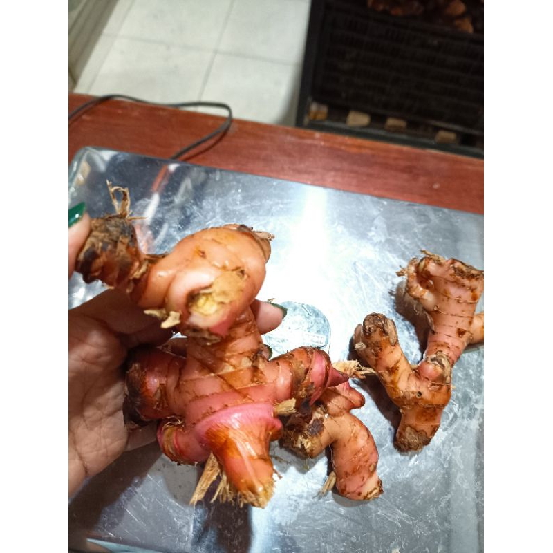 

lengkuas merah segar 500 gr