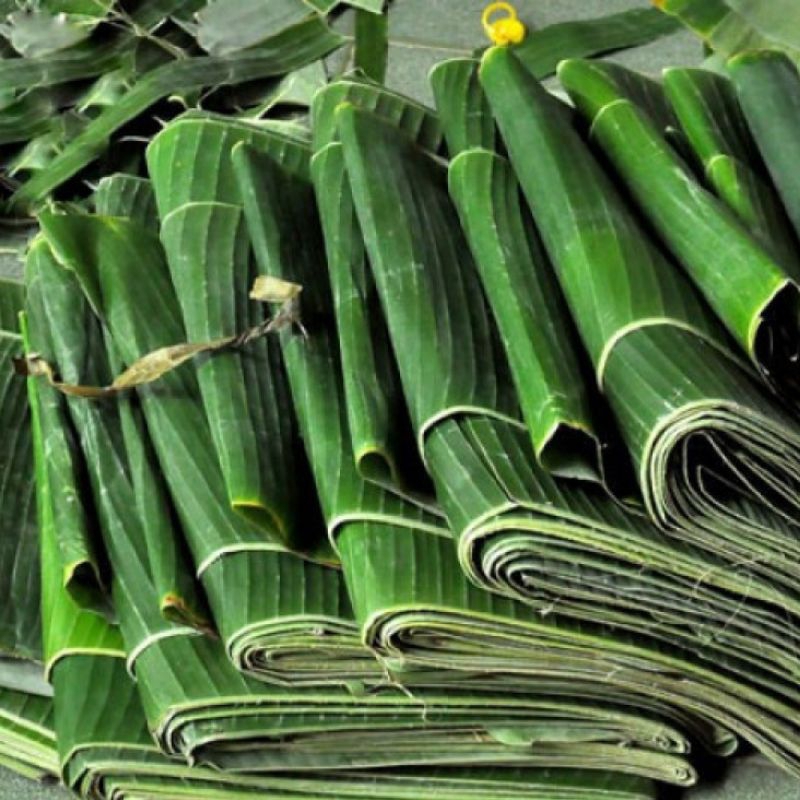 

DAUN PISANG SEGAR DAUN SERBA GUNA