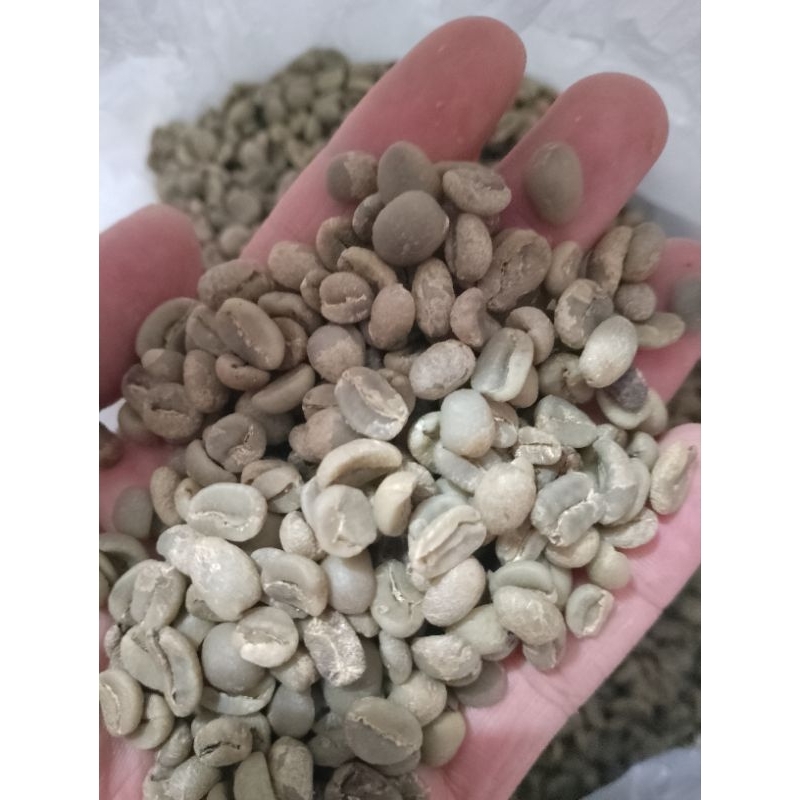 

greenbeans arabika ciwidey fullwash 1kg