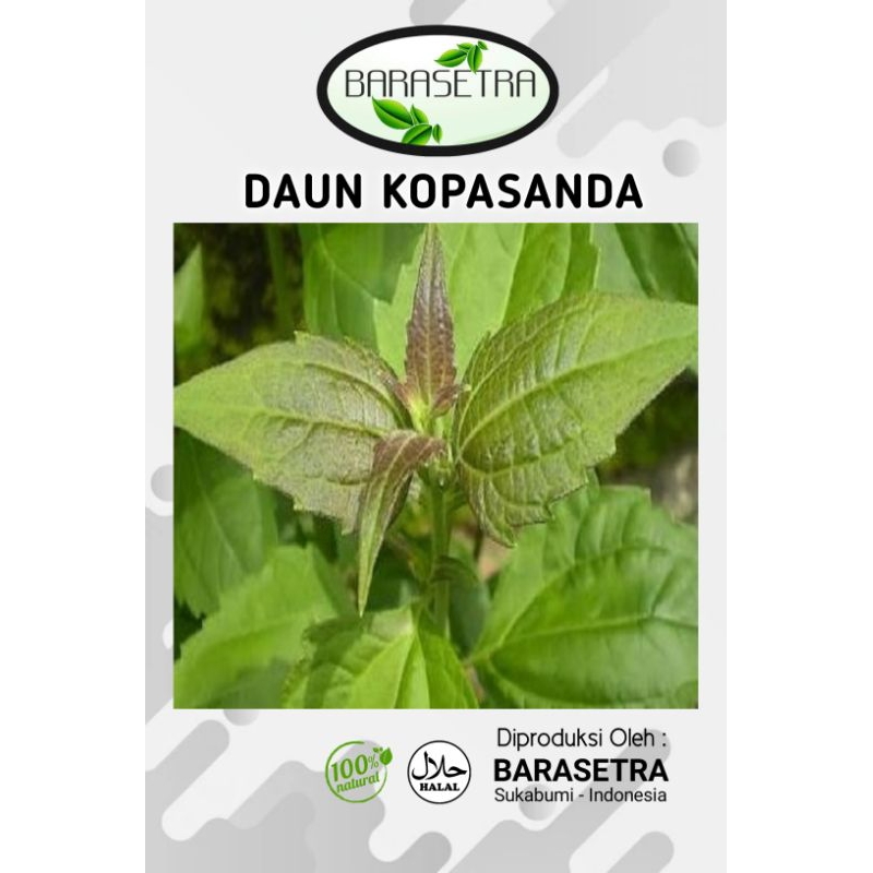 

DAUN KOPASANDA atau babanyaran atau daun Golkar. kualitas hijau segar sebagai herbal tradisional alami segera Order ditoko kami sekarang juga kak.