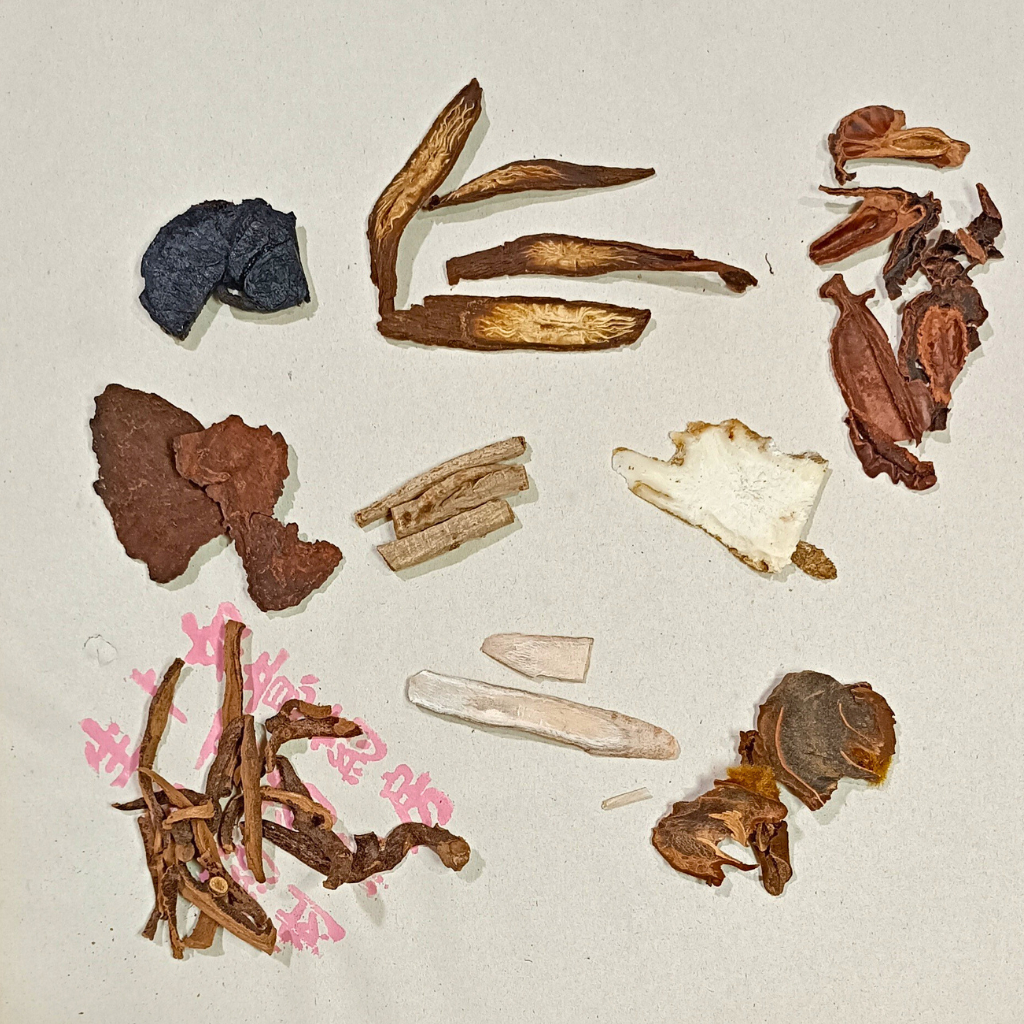

Ramuan Herbal untuk Parkinson / Gangguan Saraf Pusat yang Memengaruhi Gerakan