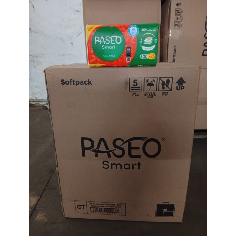 TISSUE PASEO 540 sheet DUS