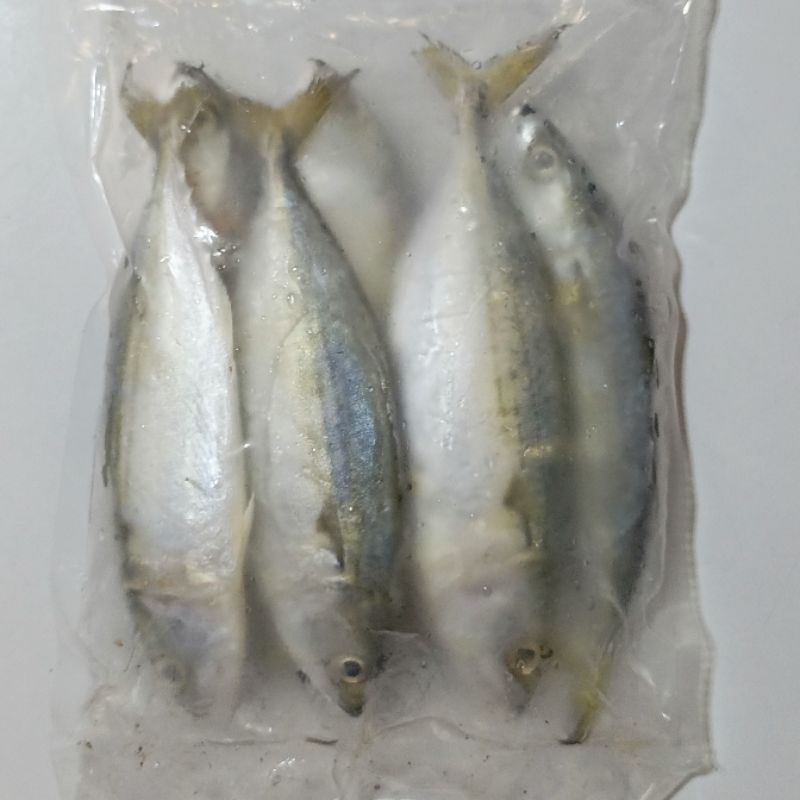

Ikan Kembung Segar Beku 1 kg