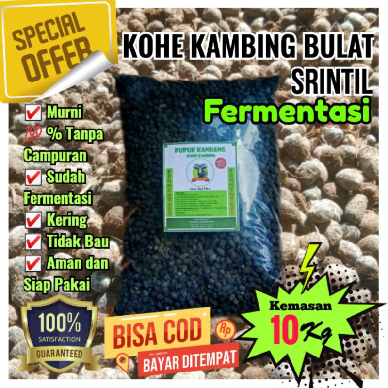 KOHE KAMBING BUTIRAN / SRINTIL KAMBING FERMENTASI KEMASAN 10 KG SIAP PAKAI