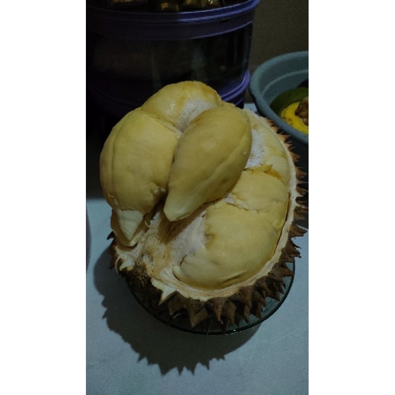 DURIQN MONTONG PALU DURIAN PREMIUM DURIAN UTUH DURIAN MANIS LEGIT BERGARANSI