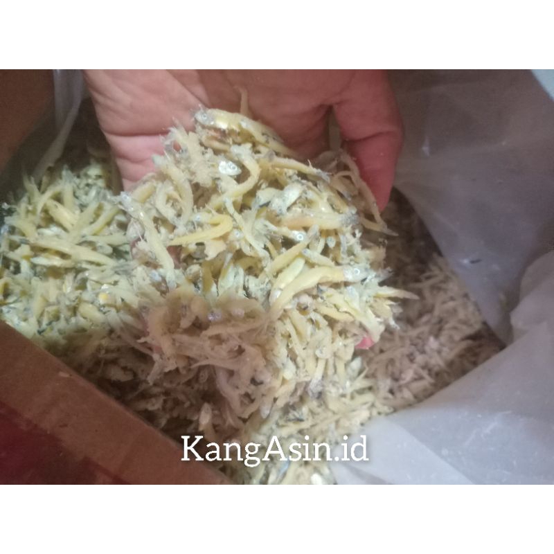 

TERI NASI/asin teri nasi250gr