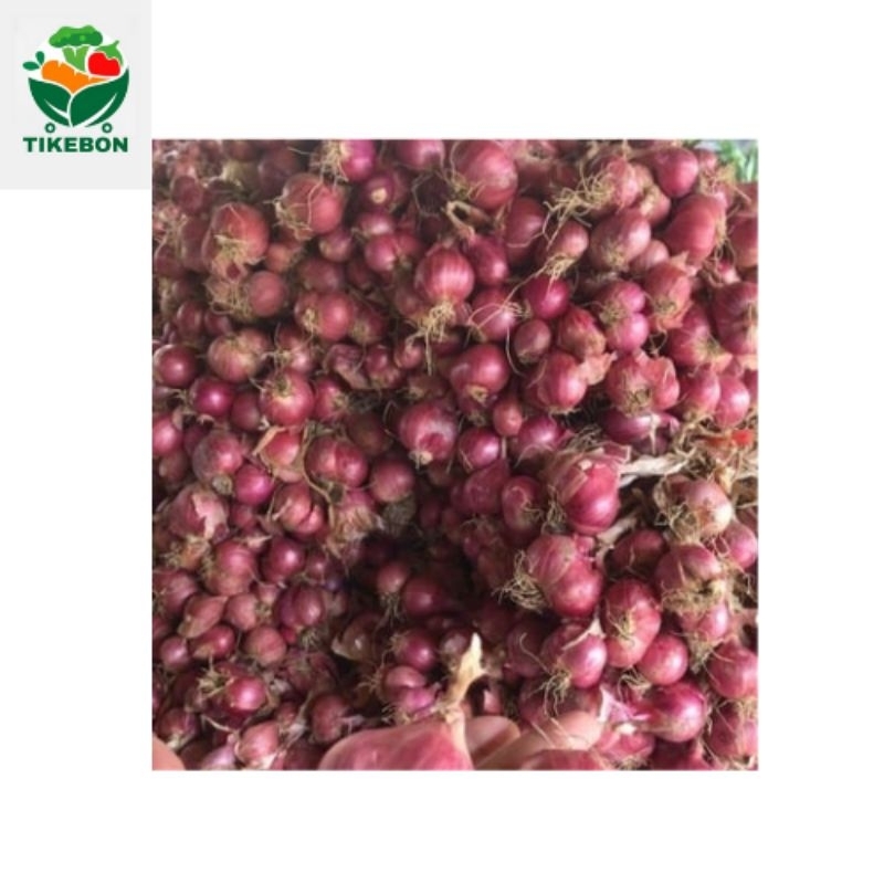 

bawang merah super 1 kg