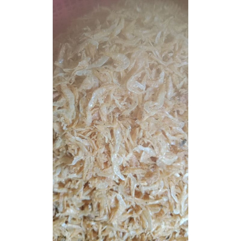 

udang rebon renyah gurih