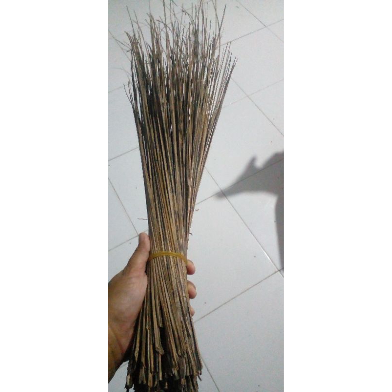 

50 BATANG LIDI DAUN KELAPA TUA