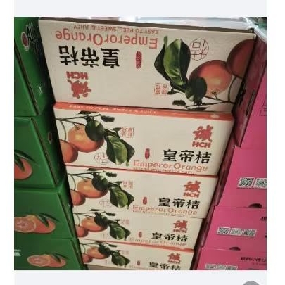 

Buah jeruk wokam tanpa biji manis segar -+2 kg