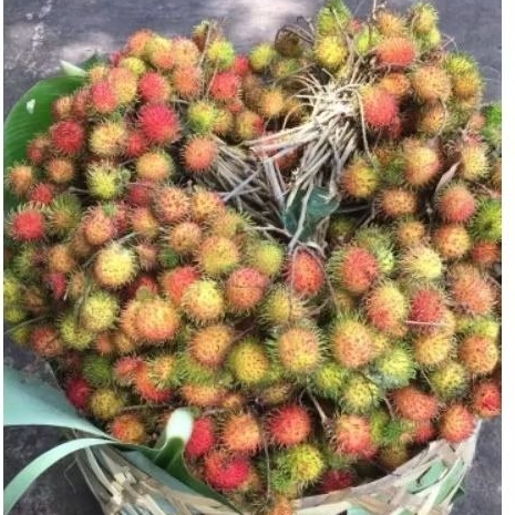 

RAMBUTAN RAPIAH/RAMBUTAN BOTAK 1kg