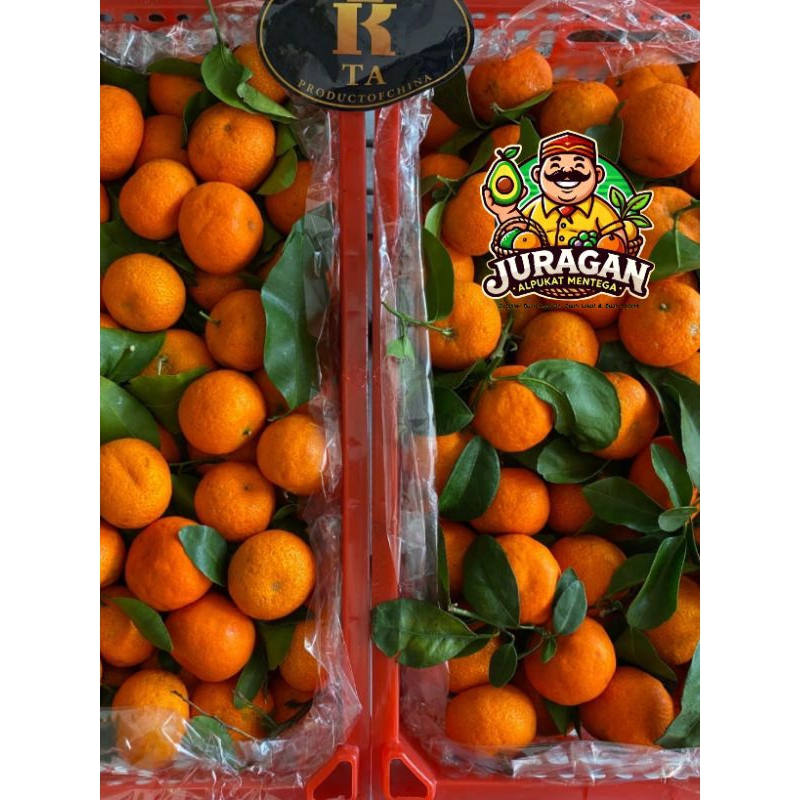 

Jeruk Santang Mandarin Fresh / Buah Jeruk Santang