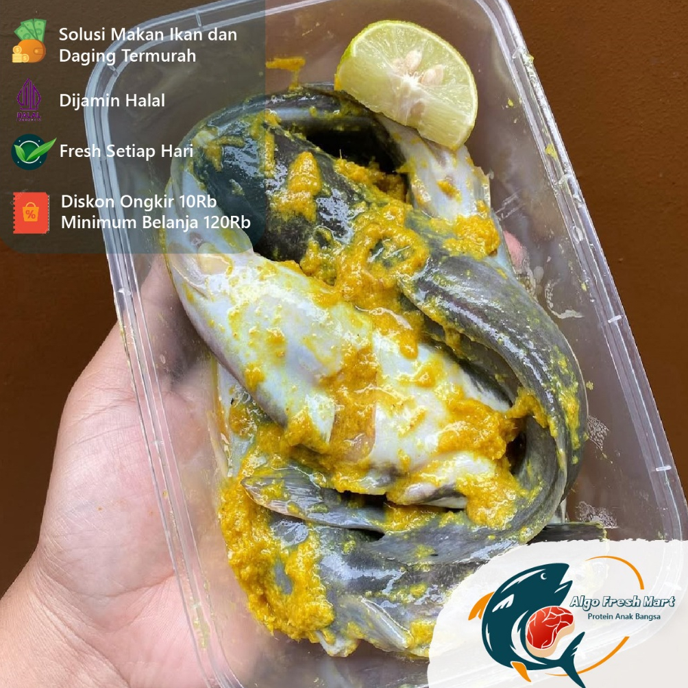 

[TERMURAH] Lele Marinasi Bumbu Kuning (650gr)