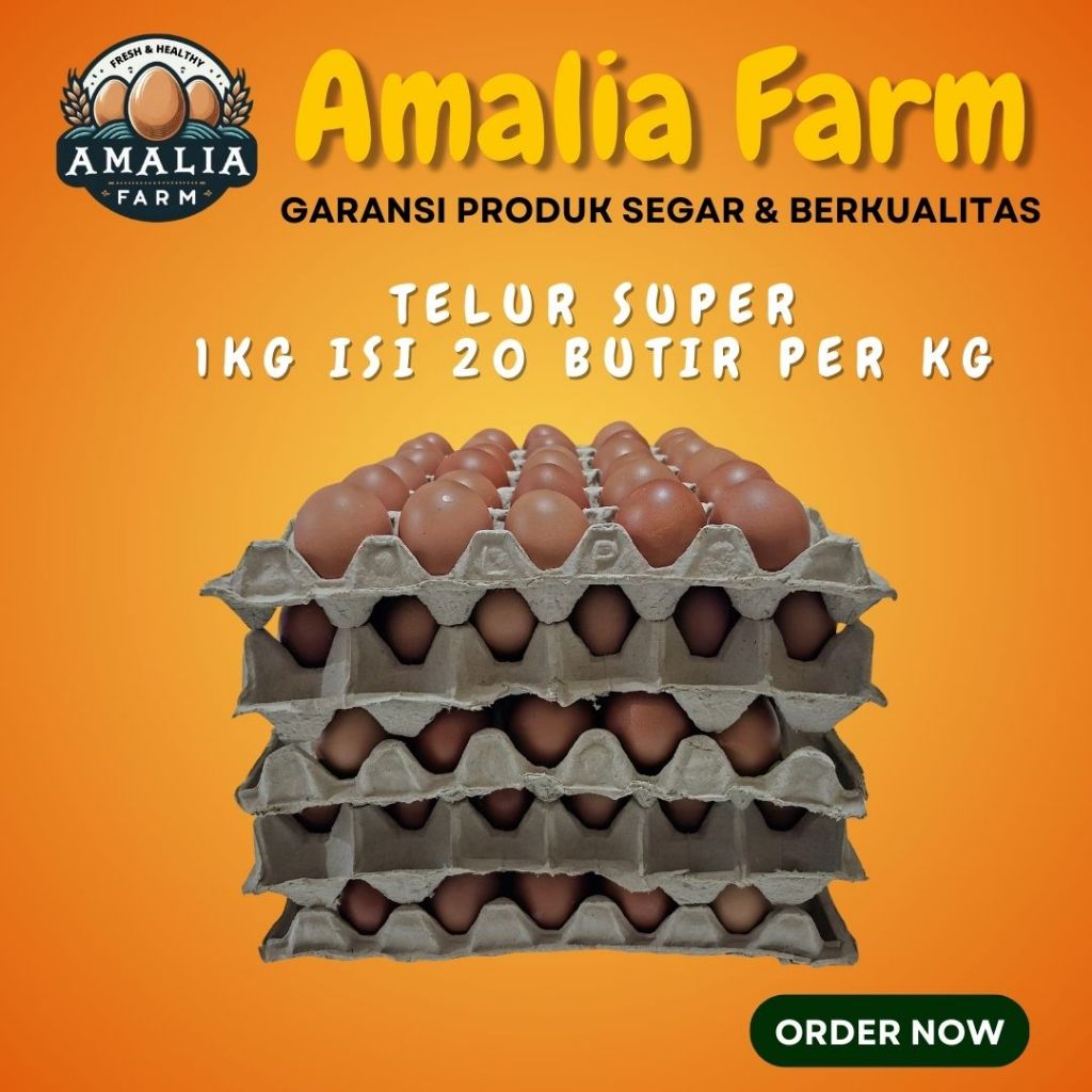 

Amalia Farm - 1 KG Telur Ayam Negeri Super PREMIUM (Kecil - Kecil)