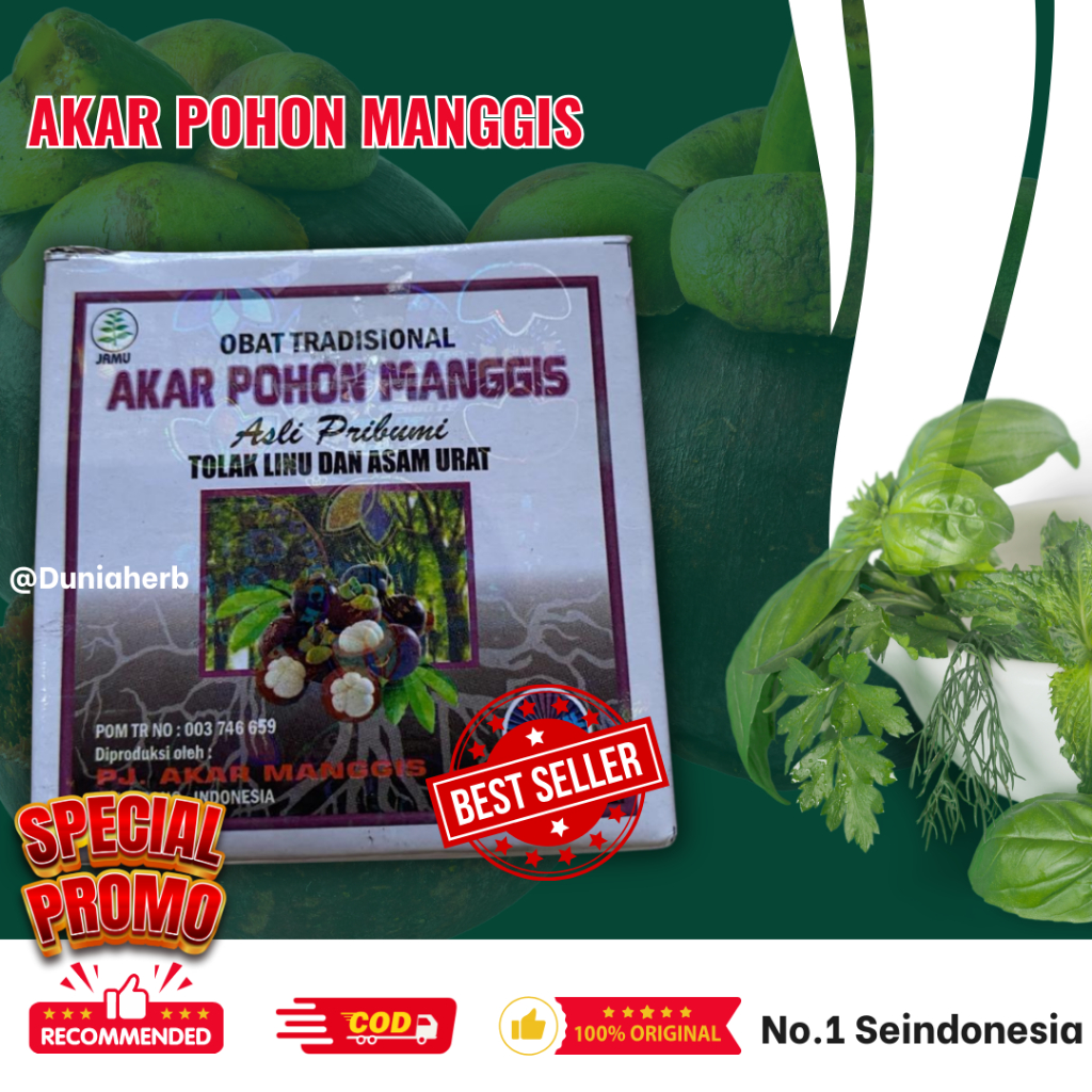 

Akar Pohon Manggis Kapsul Original 100%