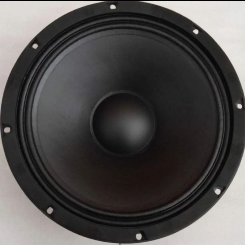 Speaker ACR fabolus 12 inch pa75125 0riginal