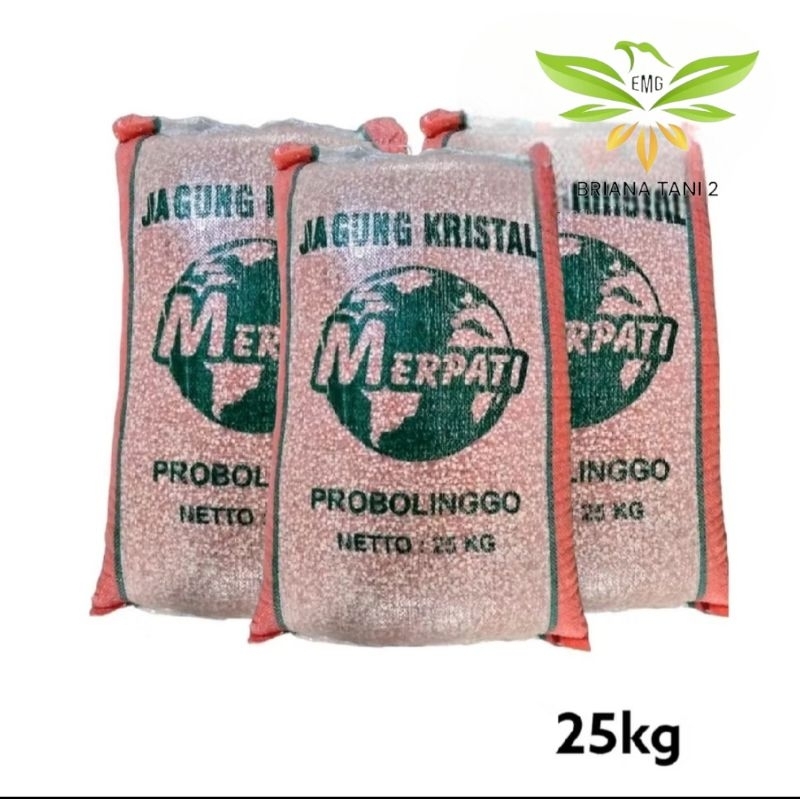 Jagung Kristal Super Cap Merpati Probolinggo 25kg Pakan Burung Merpati