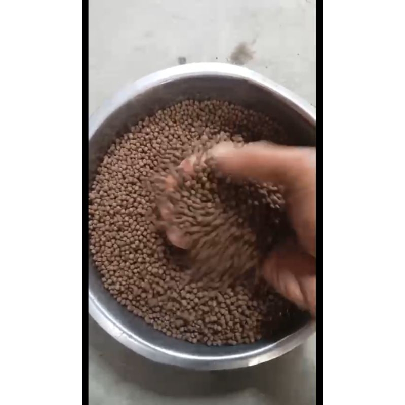 pakan ikan Apung  781  pabrikan 30% rijek