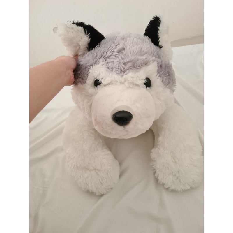 Boneka Husky Besar - ISBON