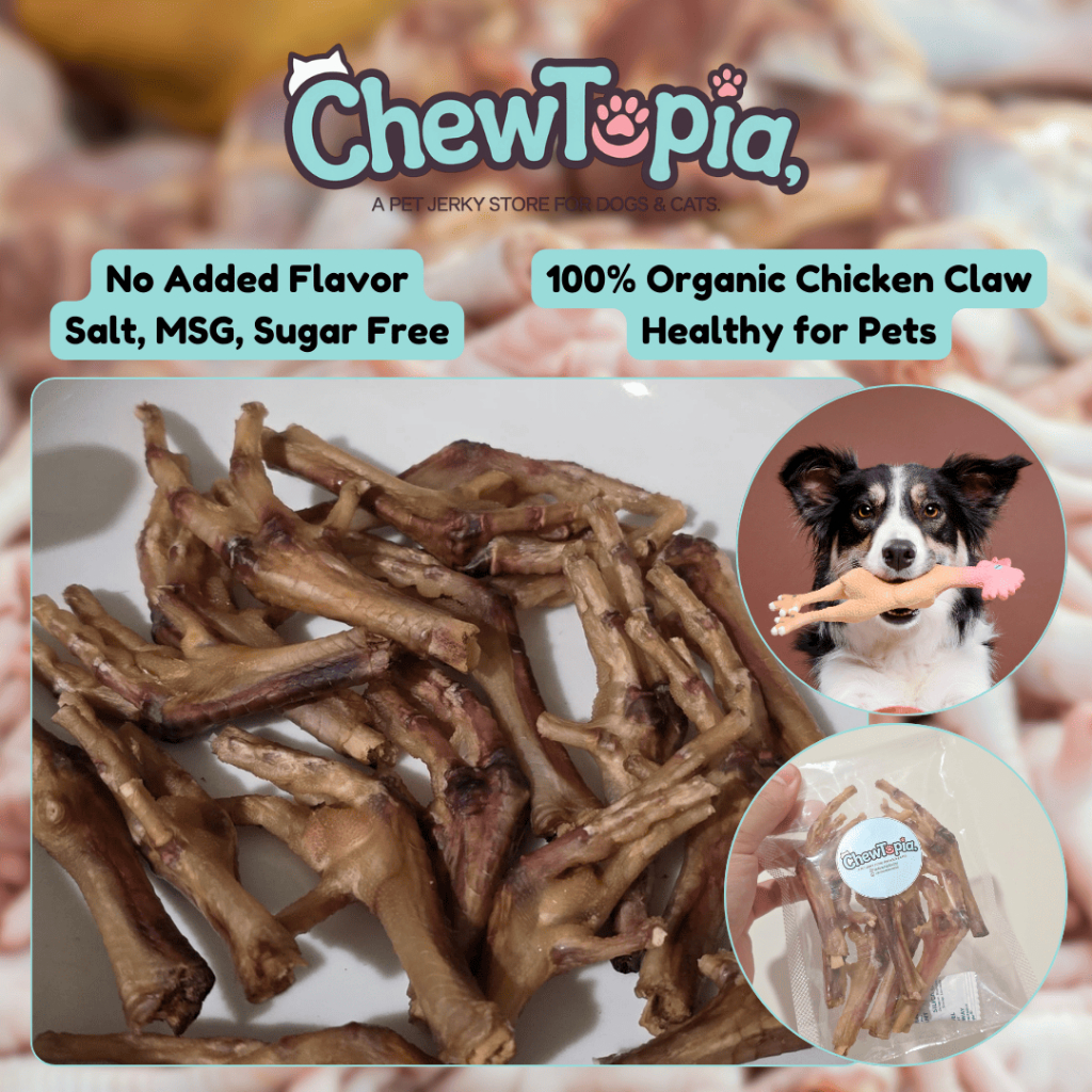 Cemilan Anjing Ceker Ayam Kampung / Snack Jerky Anjing Snack Kucing Dog Food Jerky Snack Camilan Anj