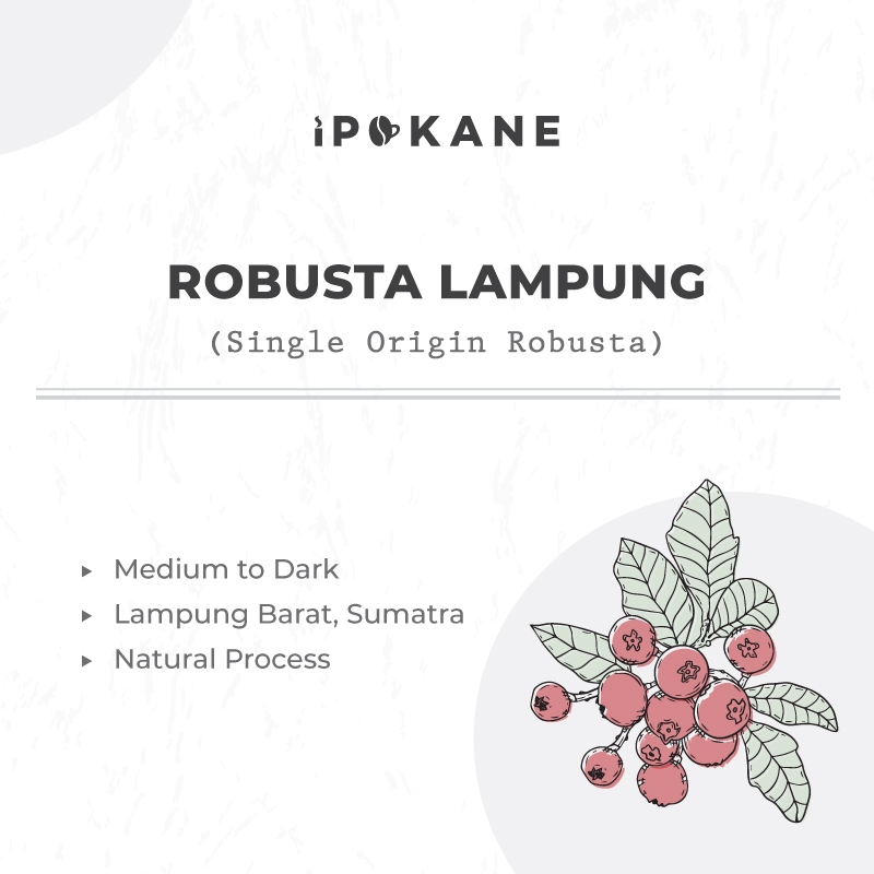 

KOPI FULL ROBUSTA - LAMPUNG - SINGLE ORIGIN - ROASTED BEANS