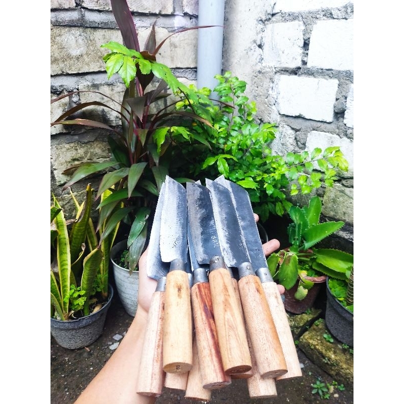 (PAKET 10PCS) PISAU DAPUR TIPIS BAJA STRIP SUPER PISAU BUAH SAYUR DAGING