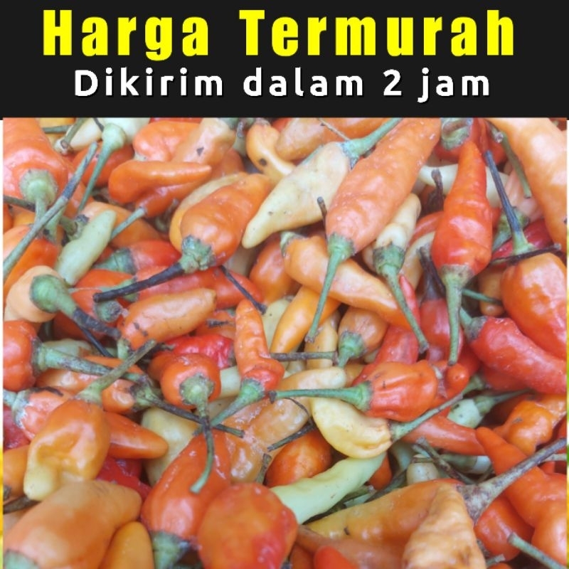 

CABE RAWIT Merah 250 gram
