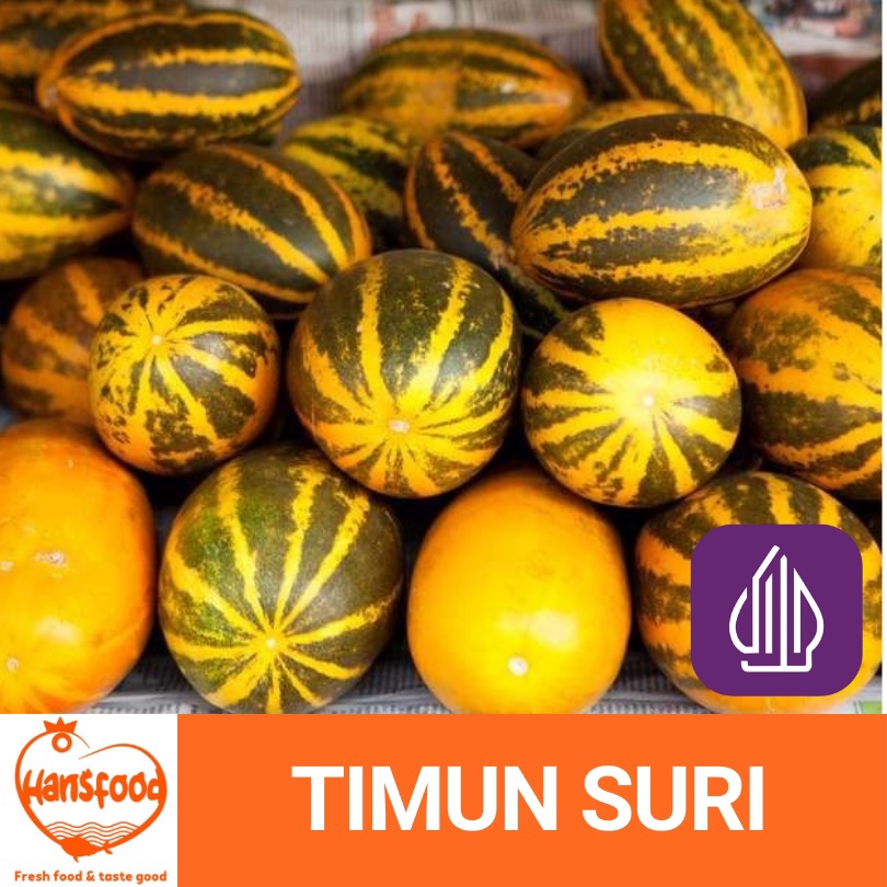 

TIMUN SURI