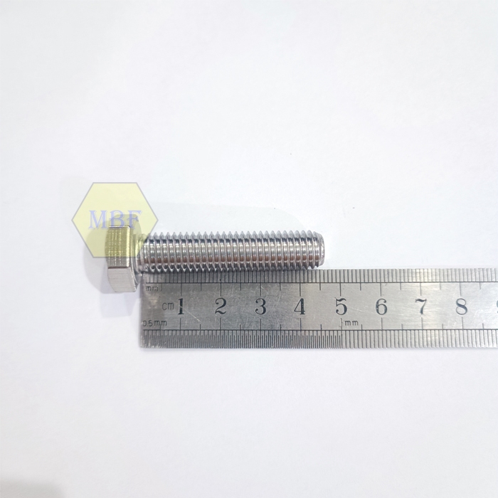 M10 x 45 Baut Hexagon Stainless 304 M10x45