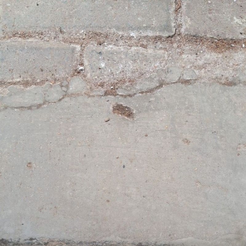 bahan bonsai kimeng prokar