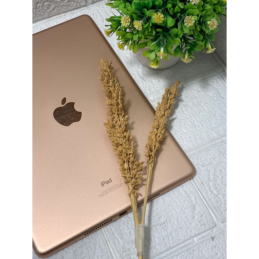 IPAD GEN 8 2020 ROSEGOLD