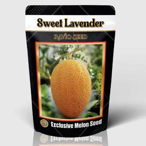 

Benih Melon Sweet Lavender (isi 10gr +- 290 s/d 300 biji)