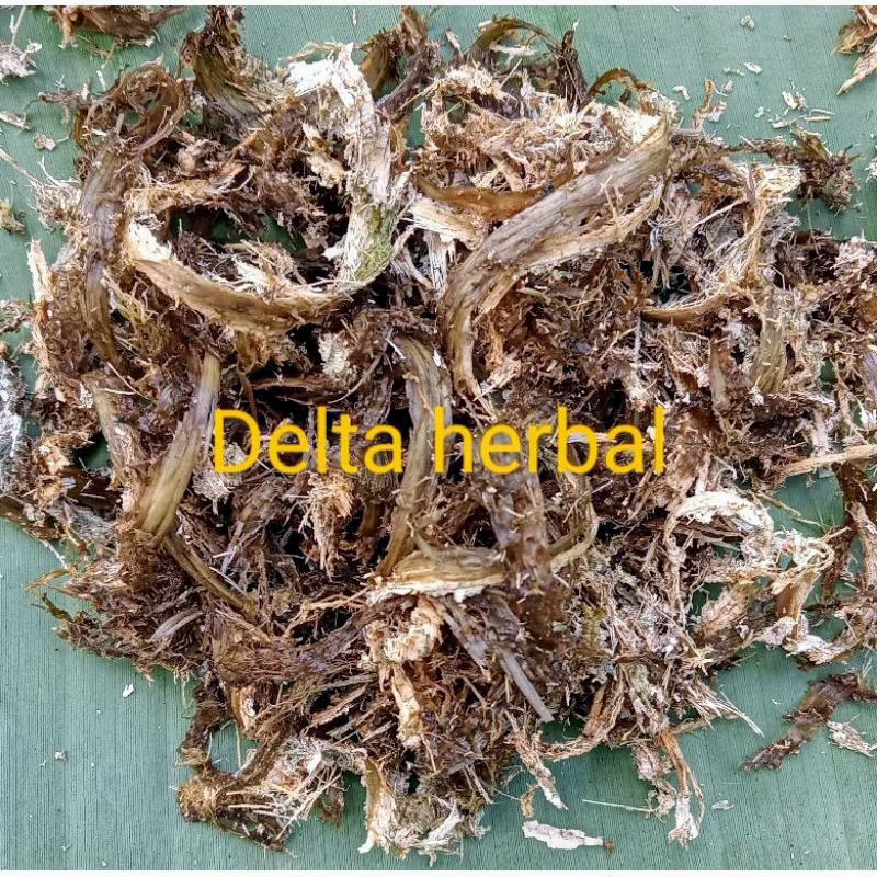 

kulit pohon sungkai 100 gram segar jadi belanda stok ready banyak