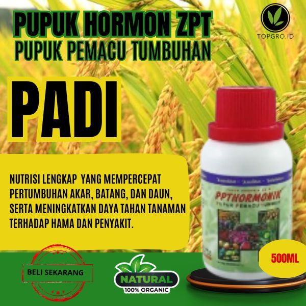 Pupuk Hormon ZPT / Pupuk Pemacu Hormon / Pupuk Pemacu Tumbuhan Padi / Pupuk ZPT Pertumbuhan / Padi